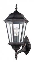  4250 RT - San Rafael 23" Wall Lantern